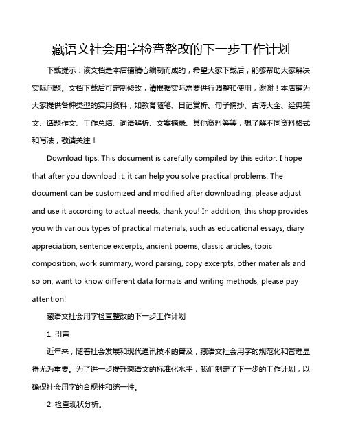 藏语文社会用字检查整改的下一步工作计划