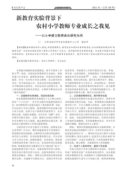 新教育实验背景下农村小学教师专业成长之我见——以小学语文教师成长研究为例