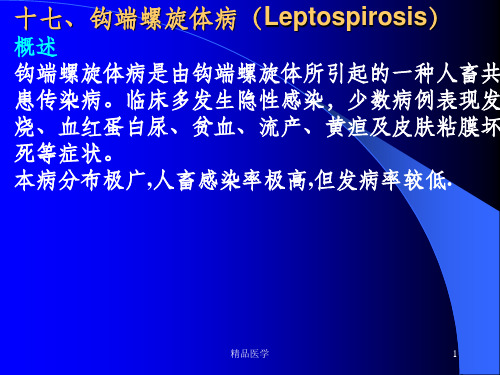 《猪的钩端螺旋体病》PPT课件