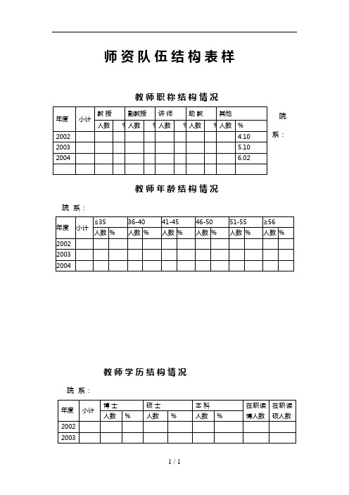 师资队伍结构表样(精)