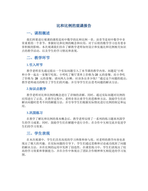 比和比例的观课报告