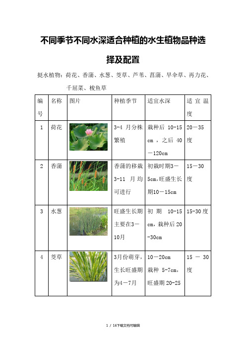 不同季节不同水深适合种植的水生植物选择