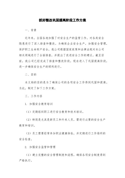 抓好整改巩固提高阶段工作方案