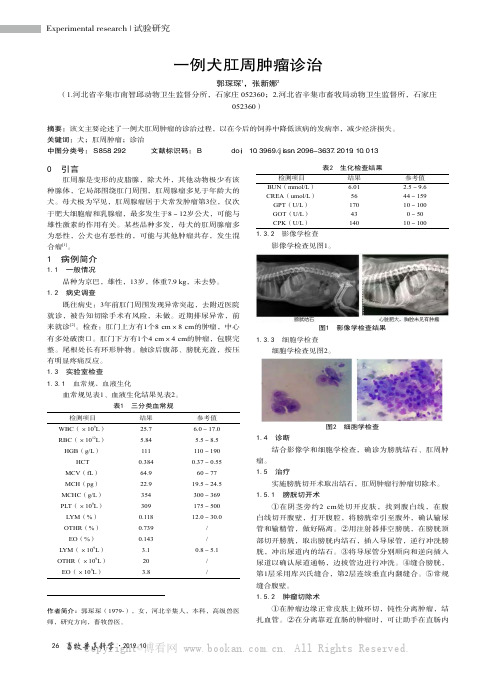 一例犬肛周肿瘤诊治