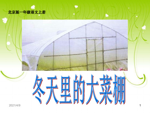 (北京版)一年级语文上册课件冬天里的大菜棚