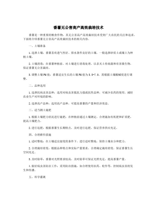 番薯无公害高产高效栽培技术