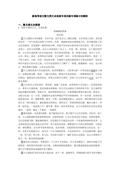 新高考语文散文类文本阅读专项训练专项练习含解析