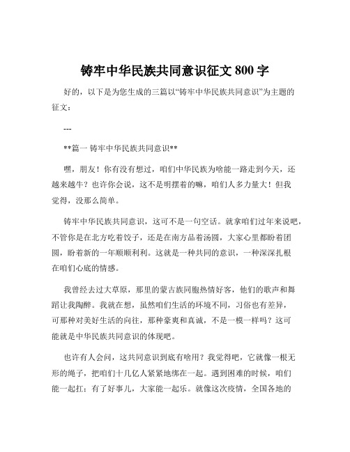 铸牢中华民族共同意识征文800字