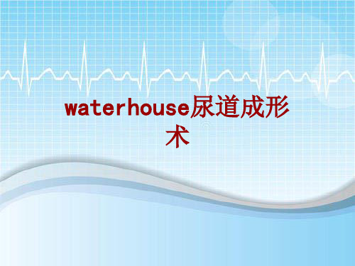 手术讲解模板：waterhouse尿道成形术