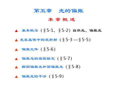 现代光学基础课件：光学教程第5章-光的偏振