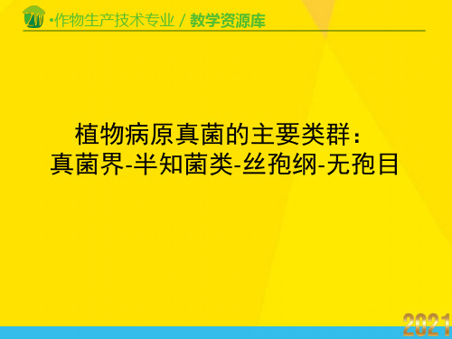 植物病原真菌的主要类群：真菌界-半知菌类-丝孢纲-无孢目优秀文档