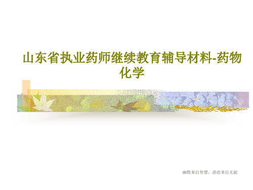 山东省执业药师继续教育辅导材料-药物化学PPT文档77页