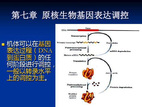 《现代分子生物学》第七章  原核生物基因表达调控