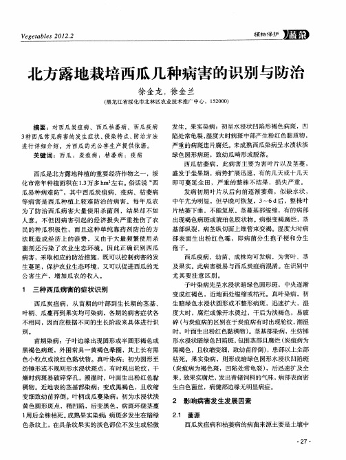 北方露地栽培西瓜几种病害的识别与防治
