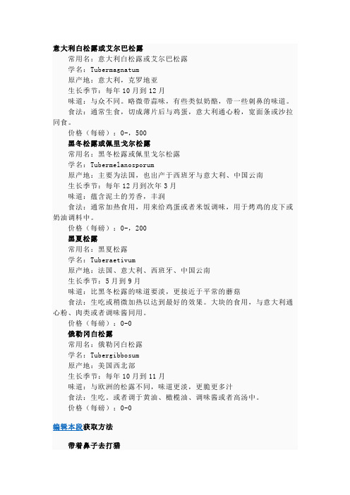 意大利白松露或艾尔巴松露