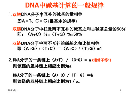 DNA中碱基计算的一般规律