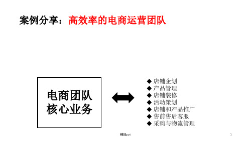 电商团队的组织架构PPT课件