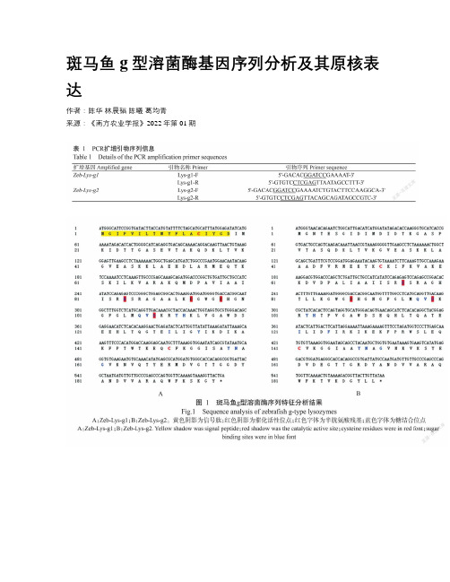 斑马鱼g型溶菌酶基因序列分析及其原核表达