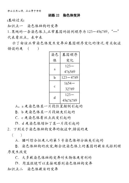 高中人教版生物必修2同课异构练习：训练22染色体变异 含答案