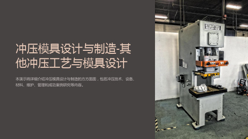 冲压模具设计与制造-其他冲压工艺与模具设计