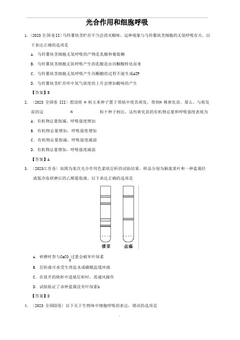 2023年高考生物易错知识强化练习：光合作用和细胞呼吸(含答案)