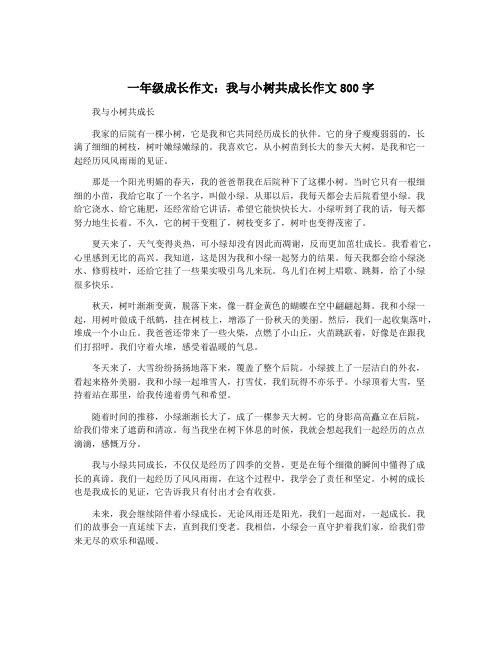 一年级成长作文：我与小树共成长作文800字