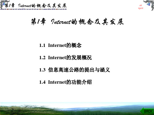 Internet的概念及其发展讲义(PPT 32张)