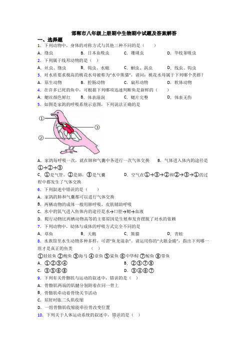 邯郸市八年级上册期中生物期中试题及答案解答