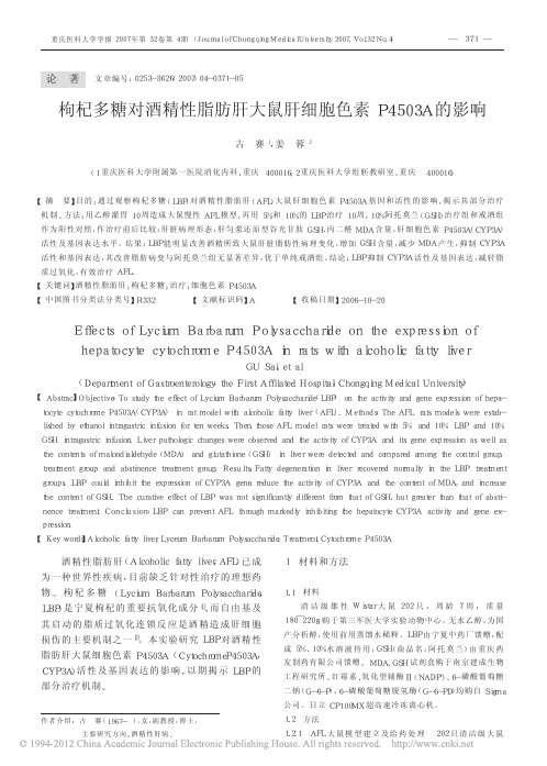 枸杞多糖对酒精性脂肪肝大鼠肝细胞色素P4503A的影响