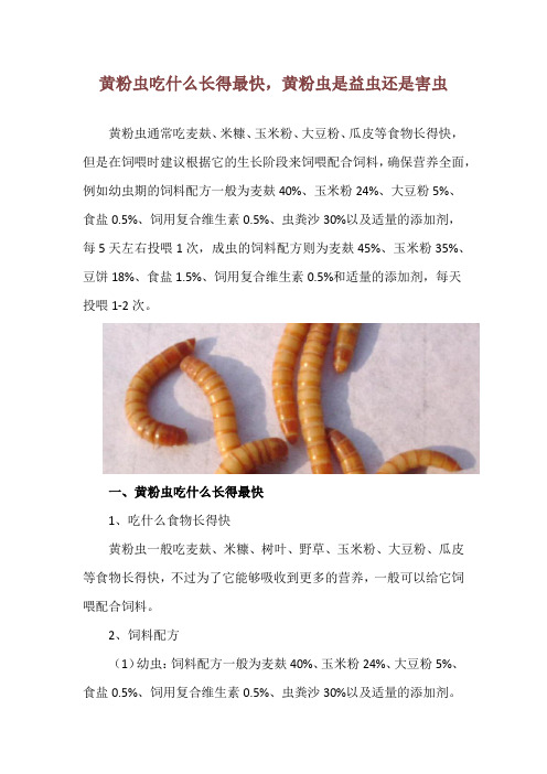 黄粉虫吃什么长得最快,黄粉虫是益虫还是害虫