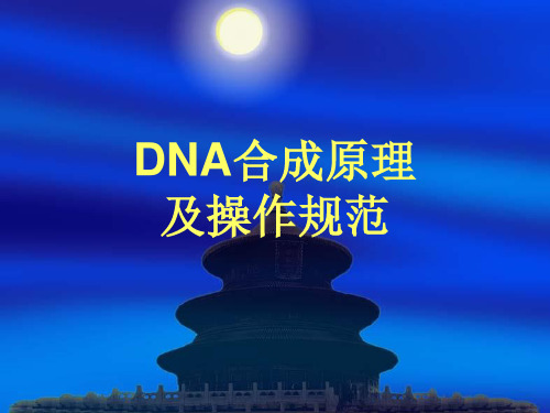 DNA合成原理及操作