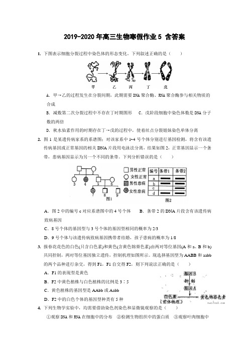 2019-2020年高三生物寒假作业5 含答案