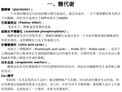 生化(2)复习串讲(完整全)生物化学