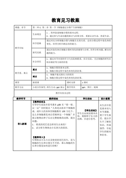 细胞通过分裂产生新细胞教案2022--2023学年人教版生物七年级上册