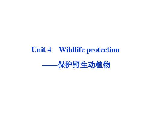 2013高考英语一轮总复习优化课件(山东专用)：Unit4 Wildlife protection