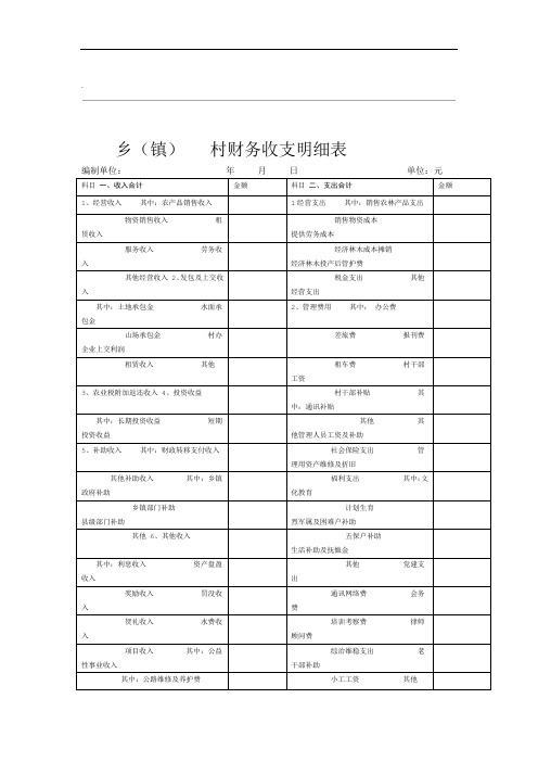 村财务收支明细表