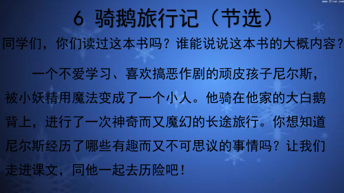 2020部编版小学语文六年级下册《骑鹅旅行记》.ppt