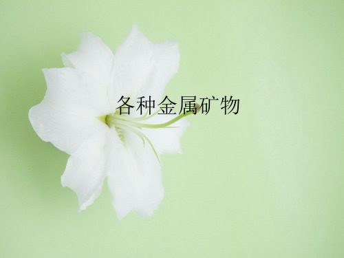 金属矿物的开发利用PPT教学课件