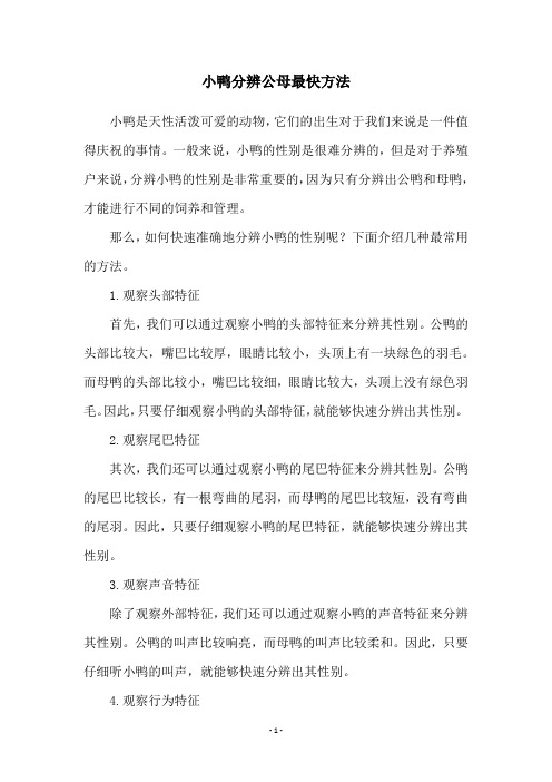 小鸭分辨公母最快方法