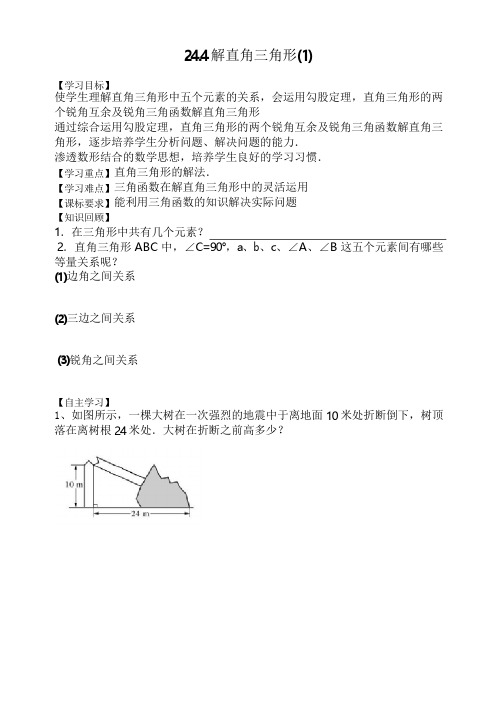 《解直角三角形》导学案4