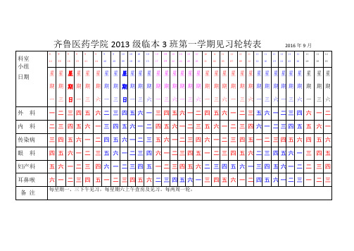 齐鲁医药学院见习进度表样本