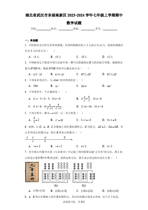 湖北省武汉市东湖高新区2023-2024学年七年级上学期期中数学试题