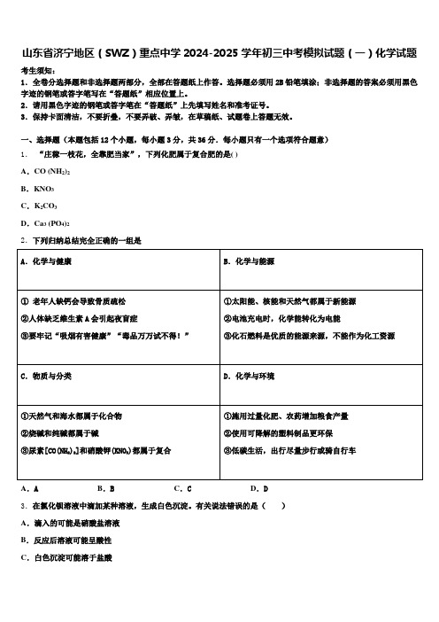 山东省济宁地区(SWZ)重点中学2024-2025学年初三中考模拟试题(一)化学试题含解析