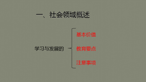 《指南》社会领域分析