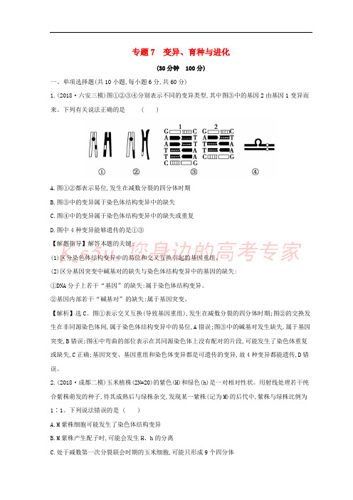 2019版高考生物二轮复习 专题七 变异、育种与进化专题能力提升练