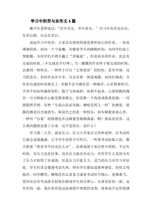 学习中的苦与乐作文4篇精选