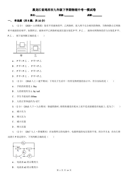 黑龙江省鸡西市九年级下学期物理中考一模试卷