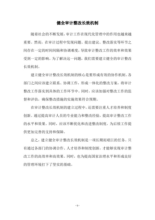 健全审计整改长效机制