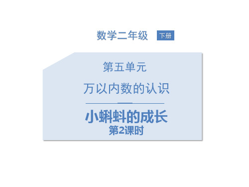 新北师大版二年级下册数学《小蝌蚪的成长》ppt教学课件