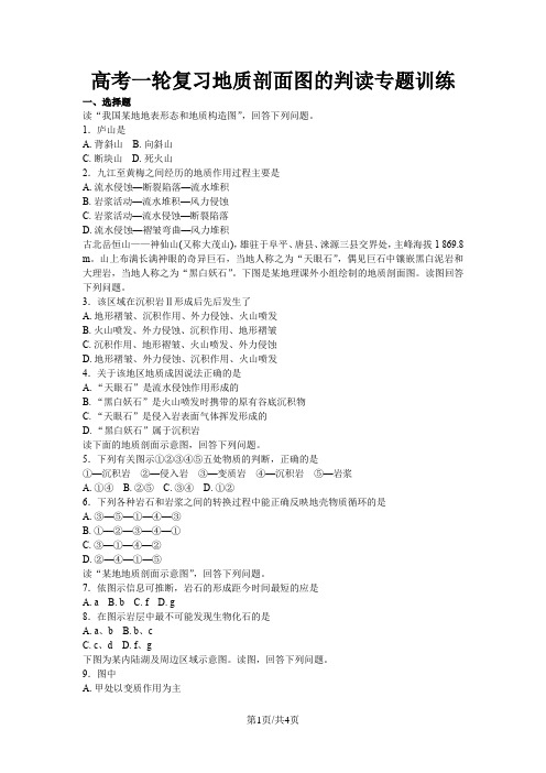 高考地理一轮复习地质剖面图的判读专题训练